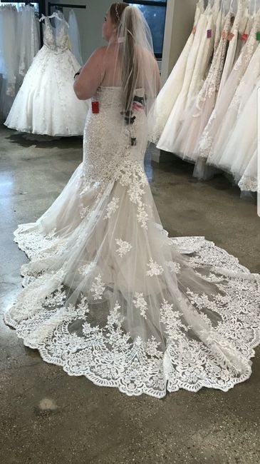 i said yes to the dress! - 2