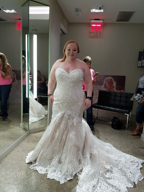 Show me some dresses! - 1