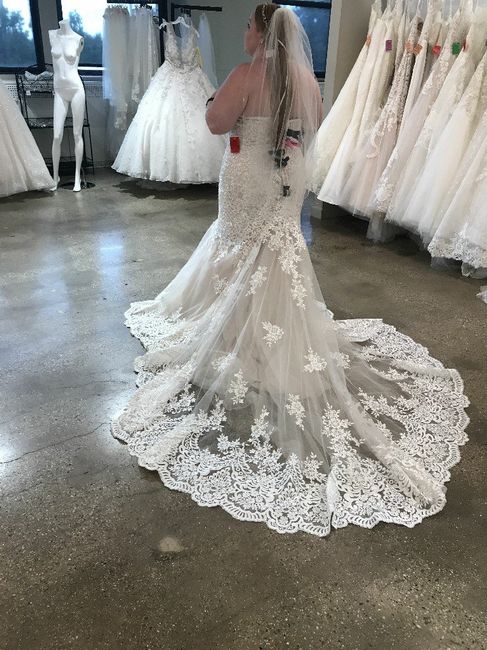 Did you say yes to the dress? - 2
