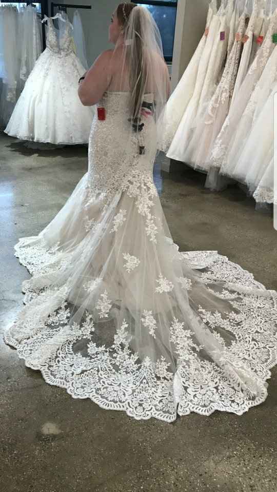 i said yes to the dress! - 2