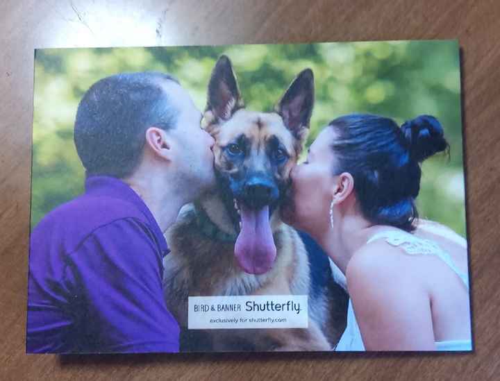 How many pictures did you use on your Save the Dates? - 3