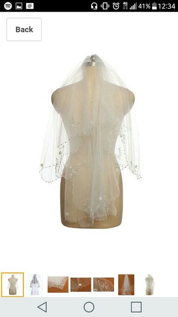 Freakin expensive veils
