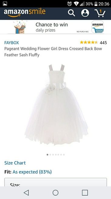 Flower Girl Dresses