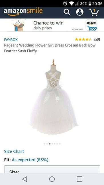 Flower Girl Dresses