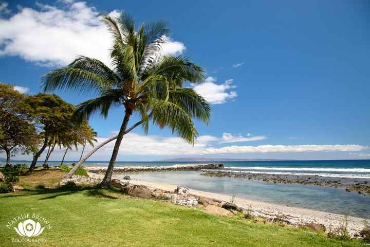 Ceremony Venue Pictures