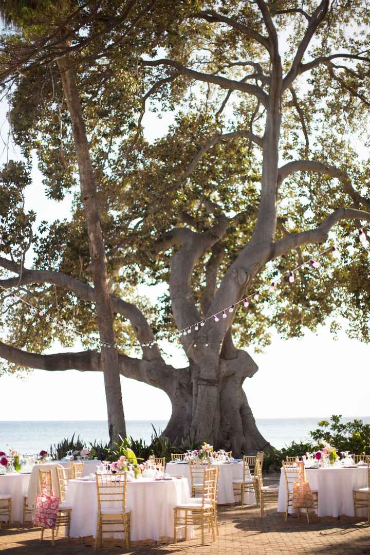 BAM: Maui Destination Wedding!!