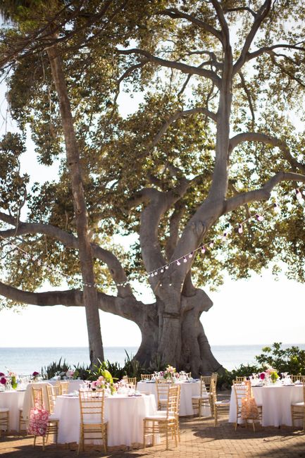 BAM: Maui Destination Wedding!!
