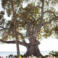 BAM: Maui Destination Wedding!!