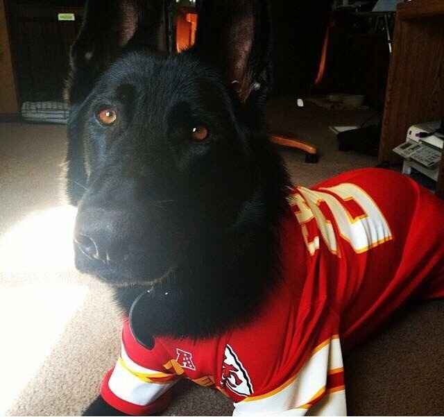 Got a new puppy, lets see a pic of your pets