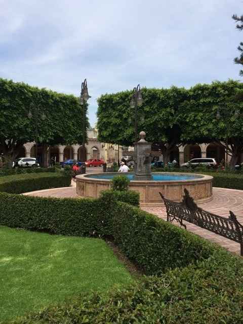 NWR - Share Pictures from Your Travels!