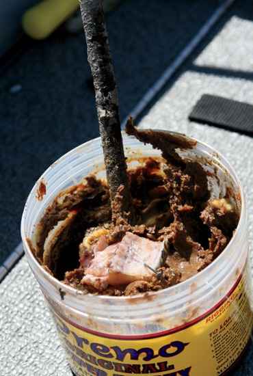 NWR: my dog ate what??