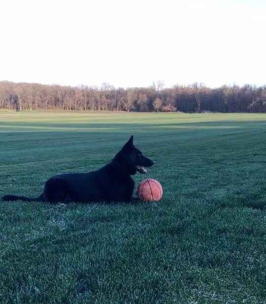 It's Fursday! Share the love!