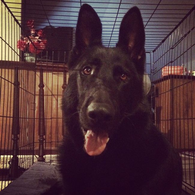 NWR: Happy Fursday!