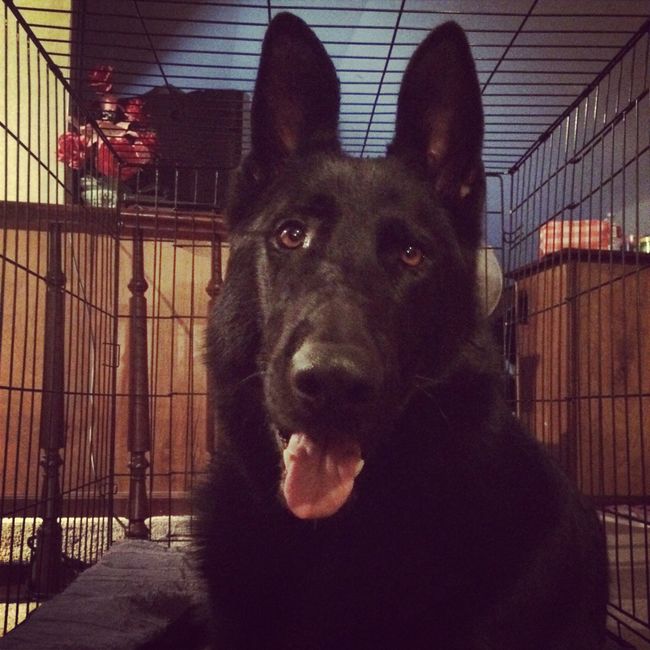 NWR: Happy Fursday!
