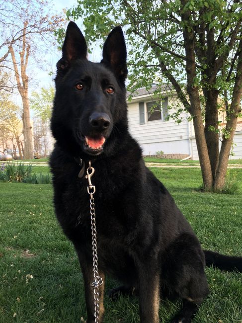 NWR:  Thursday Fursday
