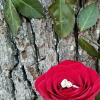 Let us see those RINGS! :)