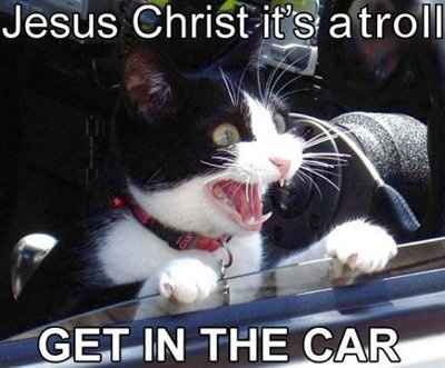 So in light of WW Support telling us to start fun and silly threads..