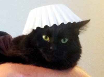 *NWR* Post pics of your furry (or not so furry) kids!