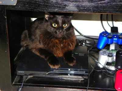 *NWR* Post pics of your furry (or not so furry) kids!