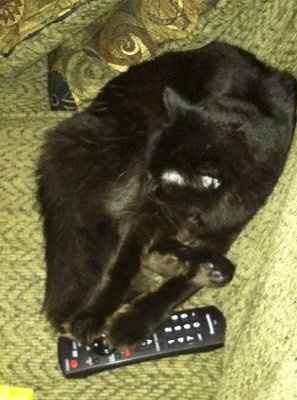 *NWR* Post pics of your furry (or not so furry) kids!