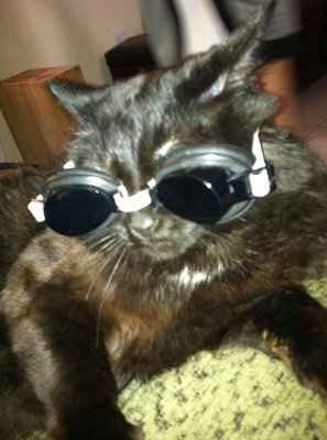 *NWR* Post pics of your furry (or not so furry) kids!