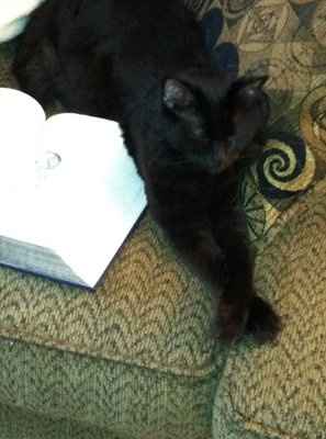 *NWR* Post pics of your furry (or not so furry) kids!