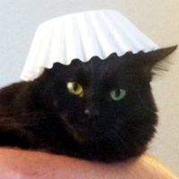 *NWR* Post pics of your furry (or not so furry) kids!