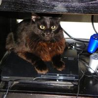 *NWR* Post pics of your furry (or not so furry) kids!