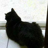 *NWR* Post pics of your furry (or not so furry) kids!