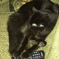 *NWR* Post pics of your furry (or not so furry) kids!