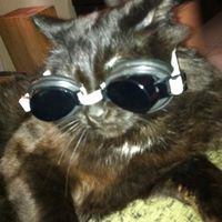 *NWR* Post pics of your furry (or not so furry) kids!