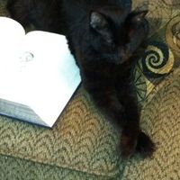 *NWR* Post pics of your furry (or not so furry) kids!