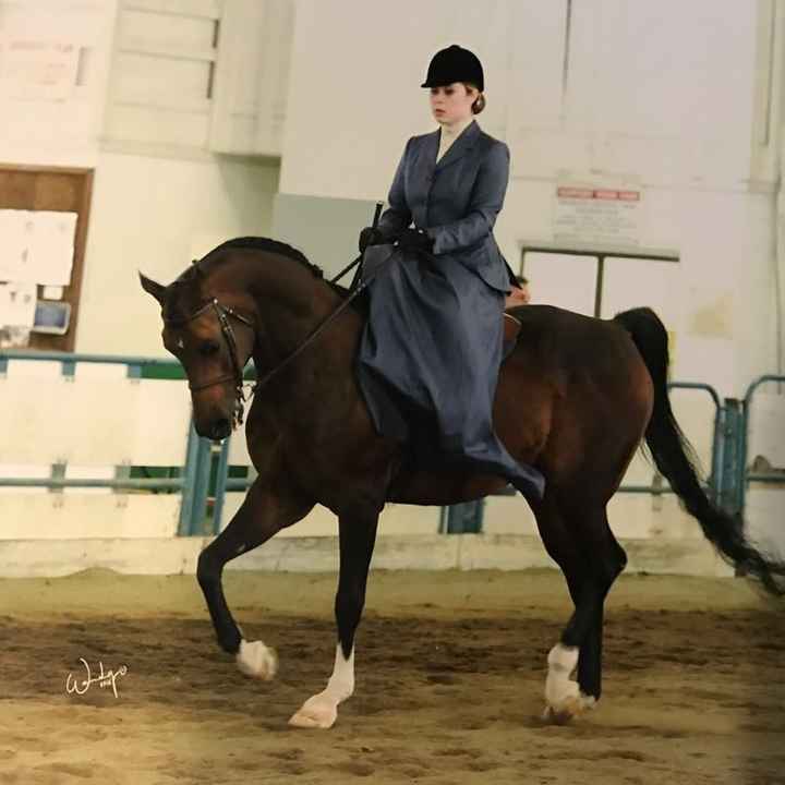 NWR: Equestrians of WW