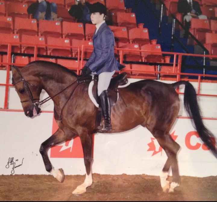 NWR: Equestrians of WW