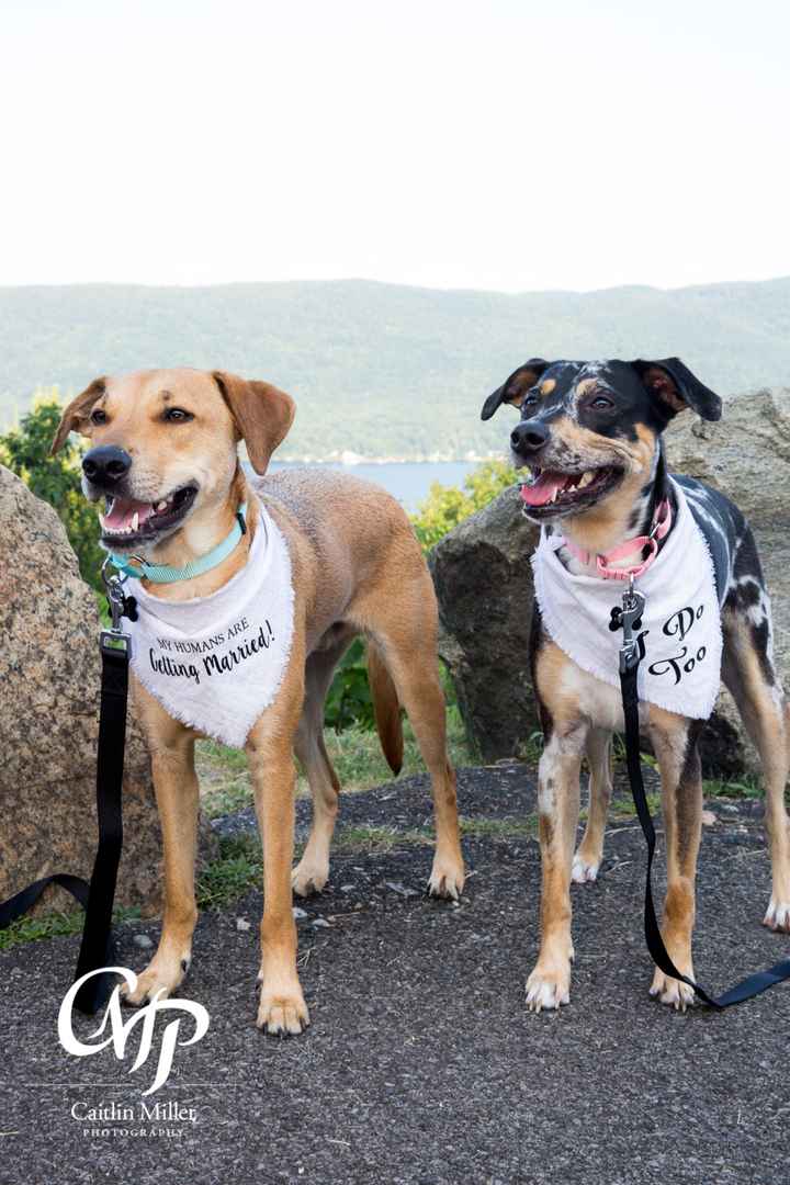 Engagement Photos Are In! - 6