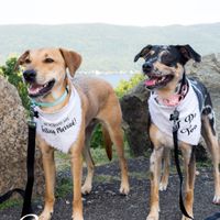 Engagement Photos Are In! - 6