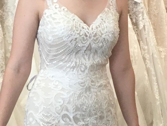 Need to find lace that matches dress to make sleeves! - 1
