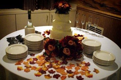My Smoky Mountain Wedding