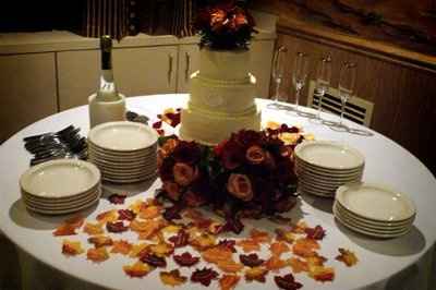 My Smoky Mountain Wedding