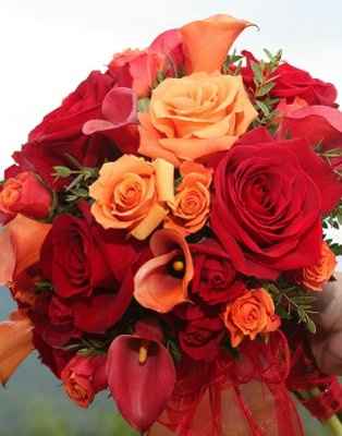 ROSES OR CALLA LILLIES?