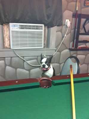 NWR: Man Caves. Show pictures, ideas and anything else.