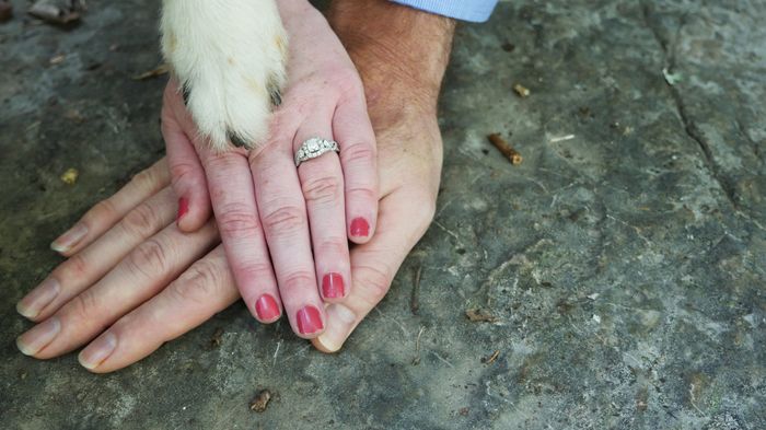 Advice for e-pics with a dog - 2