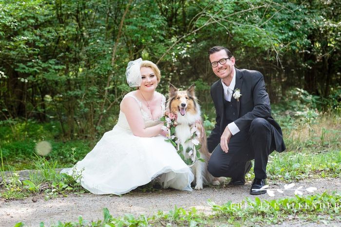 i want my dog part of the wedding and fiancé doesn’t - 2