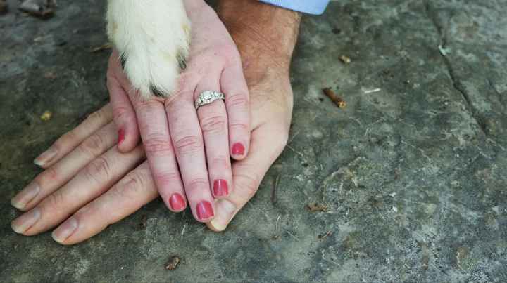 Engagement photos with furbabies? - 2