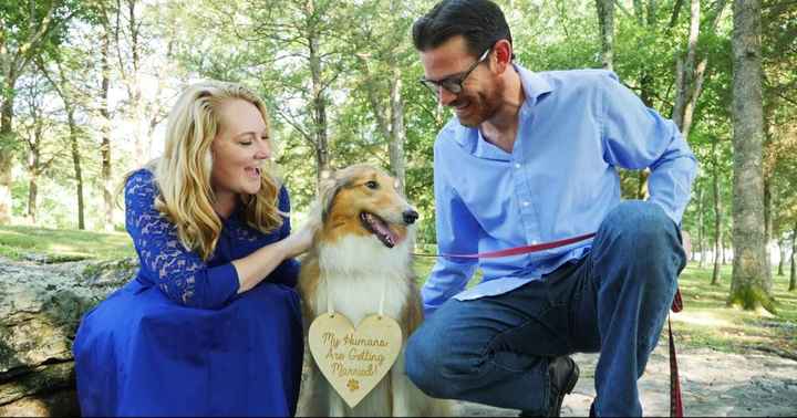 Engagement photos with furbabies? - 5