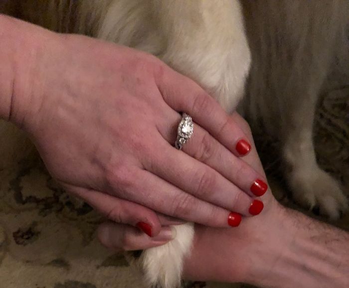 Ring post! Bonus if there’s fur babies involved! - 1