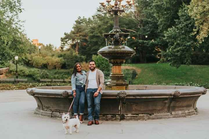 Dogs in engagement/bridal photos
