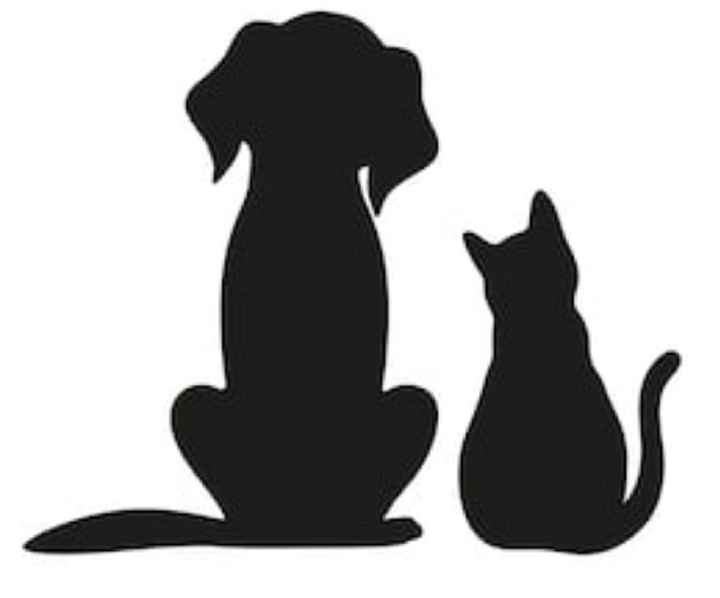 Pets and Marriage - 1