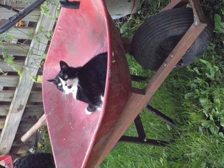 NWR: Happy Furry Fursday, let's see them fur babies!