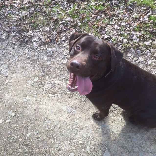 NWR: National Dog Day!